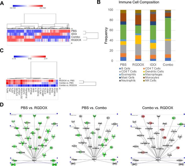 Reshaping the tumor microenvironment with oncolytic viruses, positive regulation of the immune synapse, and blockade of the immunosuppressive oncometabolic circuitry